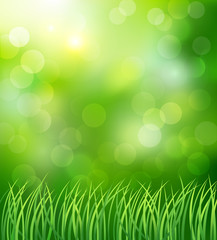 Fototapeta na wymiar Spring background with green grass. Vector illustration.