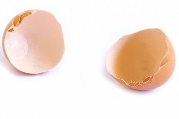 Egg Shell on White Background