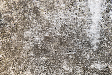 Cement or Concrete wall texture background