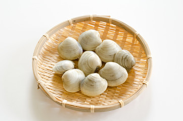 ホンビノスガイ