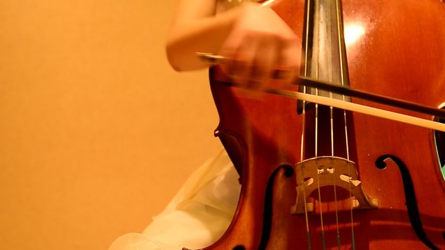  violin