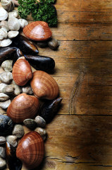 Callista chione Mytilus galloprovincialis ムラサキイガイصدف سیاه مدیترانه Черноморская мидия 地中海貽貝 Fasolara Fasolari Smooth Peoci Vongola Clam seafood صدف هموار 