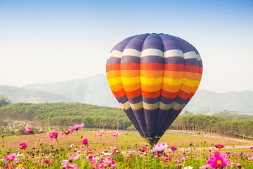Fototapeta premium hot air balloon on ground