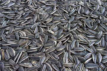 Sunflower seeds background.