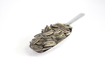 Sunfloer seeds in aluminum spoon on white background