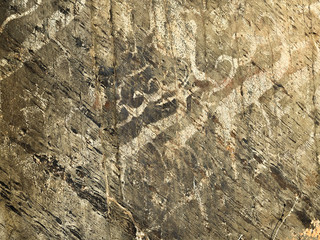Animal style in petroglyphs, solar stags on stone surface.