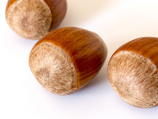 Hazelnuts isolated on white background 