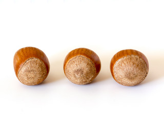 Hazelnuts isolated on white background 