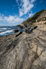 早春の城ヶ島の海岸