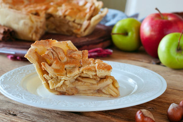 delicious piece of homemade apple pie