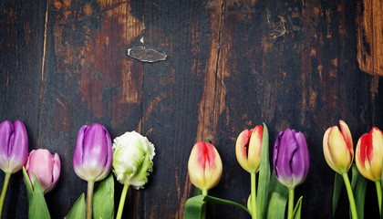 Fototapeta na wymiar Tulips on a wooden background