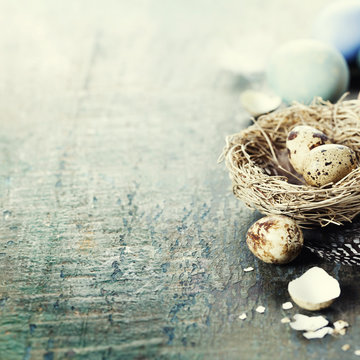 Easter eggs and nest  on wooden background