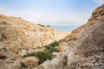 Fototapeta premium Canyon in En Gedi Nature Reserve and National Park