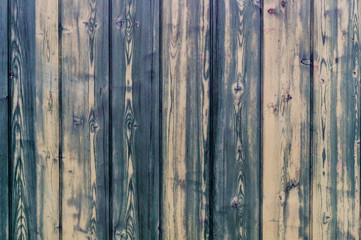 Fototapeta premium Grüne Holztexture