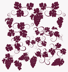 Vector design elements in vintage style with vines.