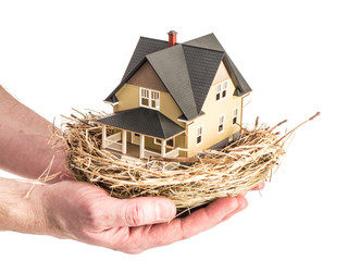 A man holds a birds nest with a miniature home inside