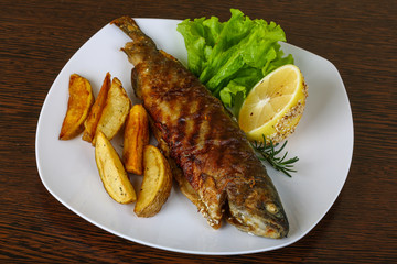 Grilled trout
