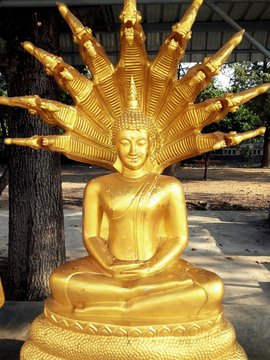 Golden Nacprk Buddha Statue
