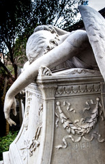 Angelo del dolore