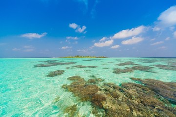 Maldives  day tropical