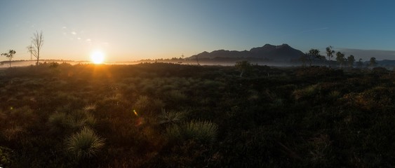 Naklejka premium Sonnenaufgang im Moos