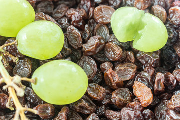 Raisins with grapes