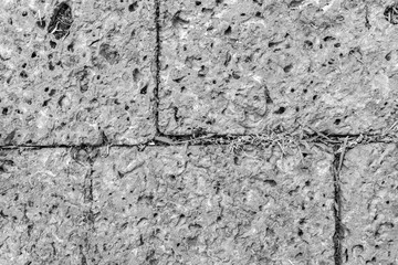 Obraz premium White brick wall background