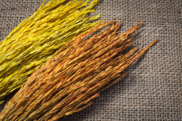 Rice on Sack or wood table background