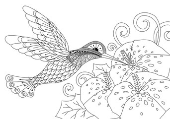 Naklejka premium Zentangle humming bird design for coloring book for adult