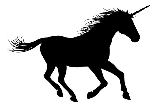 Unicorn Horse Galloping