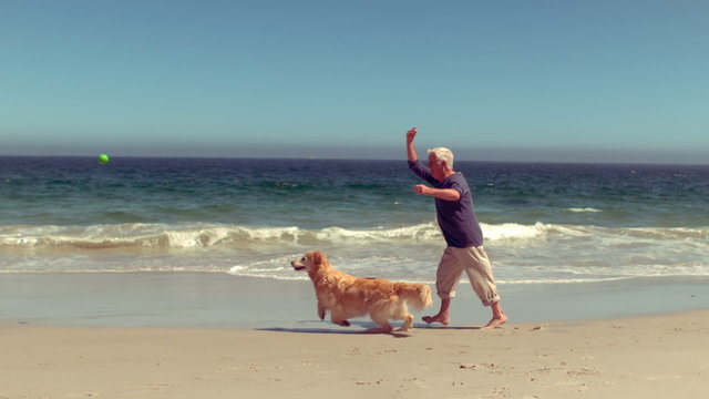 Cheerful Senior Man Playing With Dog