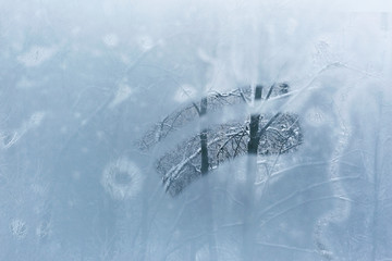 frozen winter window overlooking the woods