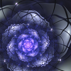 Dark blue fractal flower, digital artwork for creative graphic design