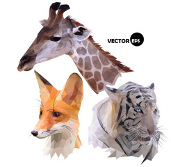 set of portraits of wild animals a giraffe, white tiger, red Fox realistic in polygonal (low poly) origami style. vector illustration
