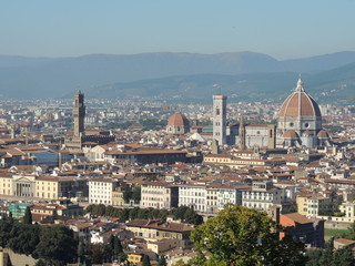 Fototapeta na wymiar Firenze - Panorama dalla Chiesa di San Miniato a Monte