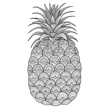 Pineapple line art design for coloring book for adult,t shirt design, logo, flyer and so on