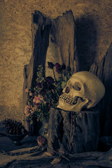 Still life with a human skull with a red rose.