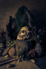 Still life with a human skull with desert plants, cactus, roses