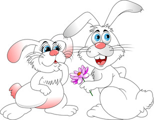 Lovers rabbits