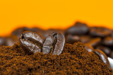 Coffee beans and ground coffee on orange background.