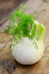 Holz Fenchel © photocrew
