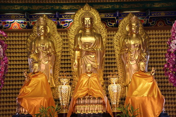 Fototapeta premium Golden's buddha at temple in thailand.