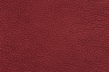 Antique Leather Texture