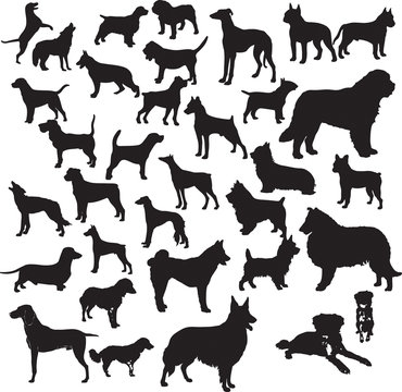 Dogs silhouette vector illustration. Eps 10