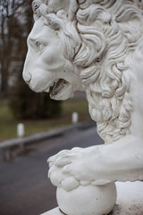 Cast iron lion at the Yelagin Palace, St. Petersburg, Russia