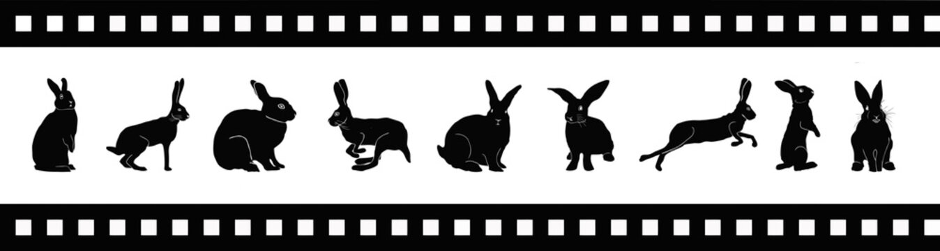 Rabbit Silhouette On Movie Tape Vector Illustration. Eps 10