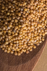 charlock (mustard) on wooden spoon © mkarpiel