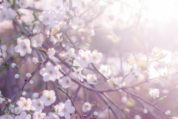 Frühling