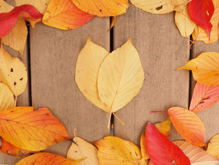 heart-shape red leaves on the wooden background