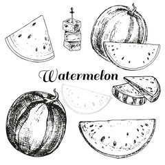 hand drawn set watermelon